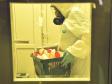 За сутки в Свердловской области выявлено 323 новых случая коронавируса