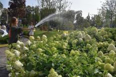 Свыше 170 проектов благоустройства реализуют на Среднем Урале
