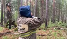 Поиски пропавших в лесу детей продолжаются на Среднем Урале