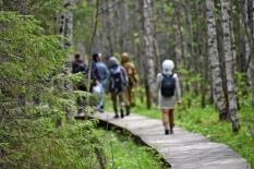 На поддержку туристических проектов Среднего Урала направят 506 млн рублей