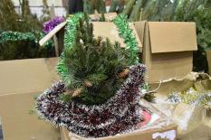 Россиян начали обманывать по схеме с дешевыми билетами на новогодние мероприятия