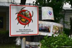Клещи в Свердловской области оказались самыми активными в стране