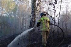 Площадь природных пожаров в Свердловской области сократилась в пять раз