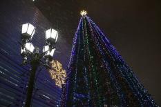 Минтруд планирует сделать 31 декабря выходным днем
