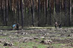 Лесные пожары на Среднем Урале могут начаться уже в апреле