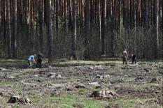 Особый противопожарный режим в Свердловской области отменят с 18 июня