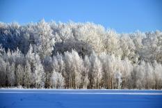 На защиту уральских лесов от пожаров направлено 720 млн рублей