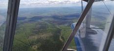 Ликвидировано крупное возгорание в Ивдельском лесничестве