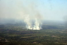 Сотрудники Уральской авиабазы начали патрулировать леса с воздуха