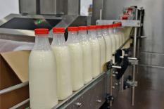 За фальсификат молочных продуктов может грозить уголовная ответственность