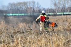 Количество природных пожаров на Среднем Урале сократилось до двух