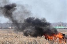 За сутки на Среднем Урале ликвидировали три лесных пожара