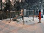 что сейчас происходит с вулканом йеллоустоун сейчас. yar 1971 1. что сейчас происходит с вулканом йеллоустоун сейчас фото. что сейчас происходит с вулканом йеллоустоун сейчас-yar 1971 1. картинка что сейчас происходит с вулканом йеллоустоун сейчас. картинка yar 1971 1. Обсуждение Йеллоустонского супервулкана в США учеными в последнее время активизировалось. И это потому, что говорят об угрозе этой катастрофы всему человечеству. Когда же может проснуться Йеллоустоун, и чем это грозит?