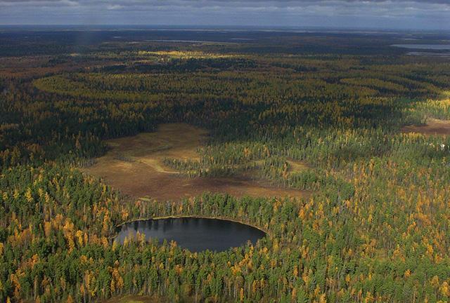 2 февраля – Всемирный день водно-болотных угодий