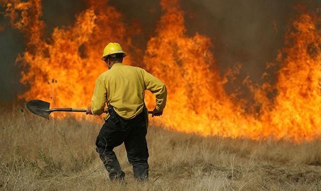 Россия готова помочь США в тушении лесных пожаров