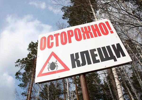 Количество пострадавших от клещей на Урале 2016