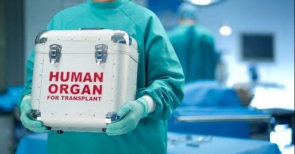 в России разрешили трансплантацию органов без разрешения родственников умерших