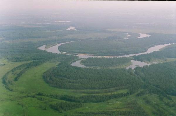 Природный парк Нумто сохранили