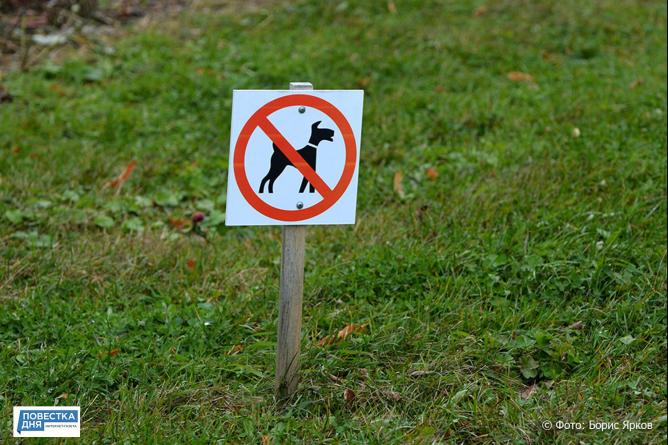 Екатеринбуржцам запретили выгуливать собак на детских площадках