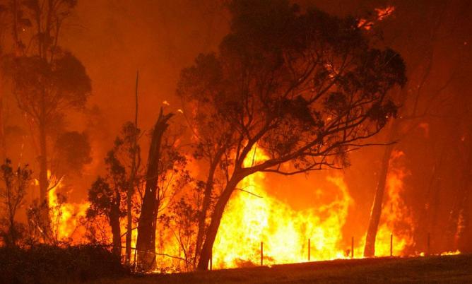 Урал охватили множественные пожары в лесах и населённых пунктах