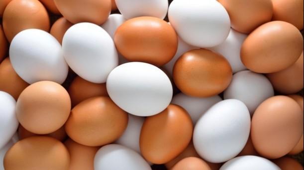 Россия запретит ввоз яиц и мяса птицы из Европы