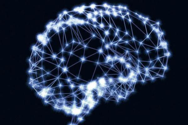 Нейробиологи определят преступников по активности мозга