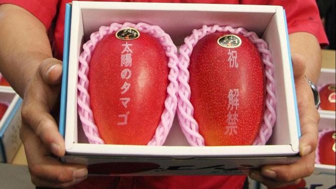 В Японии продали килограмм манго за 4 тысячи долларов